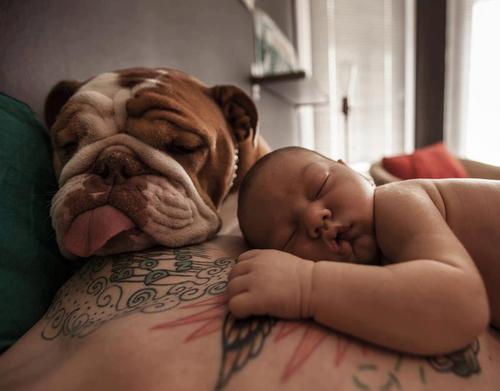 인간의 가장 강력한 욕구 전 vs 후 | 인스티즈