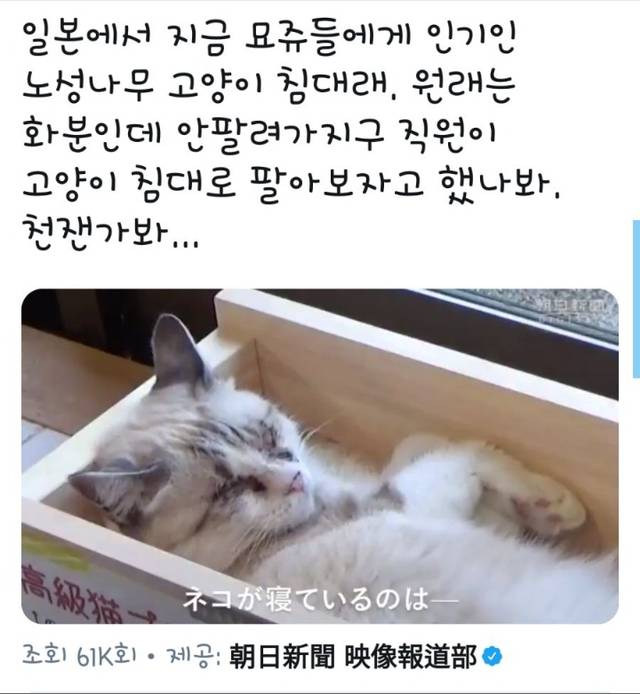 망해가는 화분공장을 살린 직원의 아이디어.jpg | 인스티즈