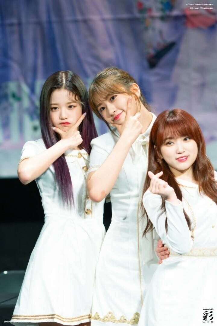 아이즈원 조유리가 그리는 아이즈원 | 인스티즈