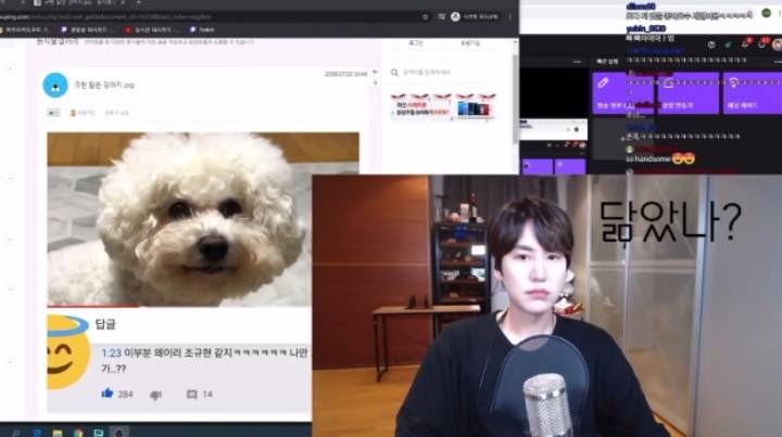 규현 닮은 강아지를 본 규현 | 인스티즈