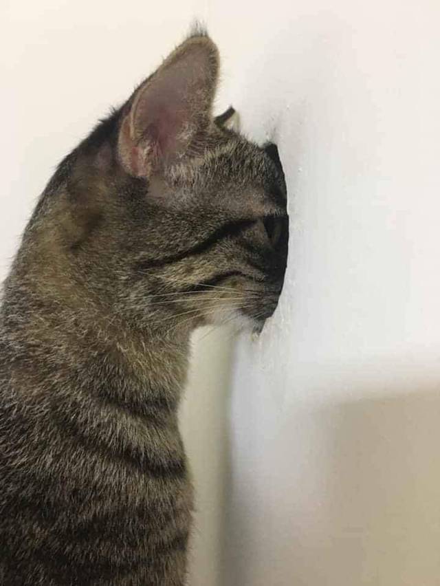 엿보기 구멍.jpg | 인스티즈