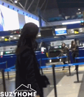 [수지] 연예인 공항 사진이 찍히는 과정 | 인스티즈