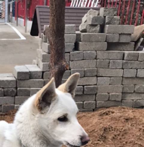 아가씨는 모르시겠죠.. | 인스티즈