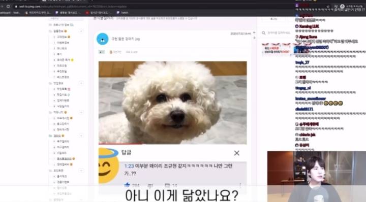 규현 닮은 강아지를 본 규현 | 인스티즈