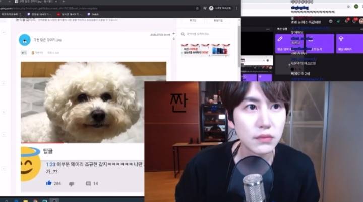 규현 닮은 강아지를 본 규현 | 인스티즈