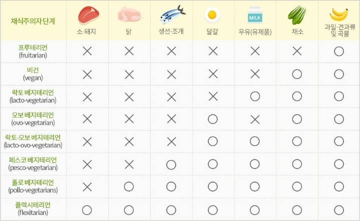 채식주의자 종류 | 인스티즈