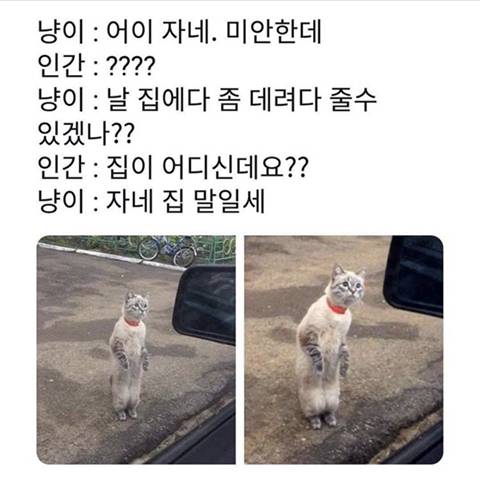 세기의 조랭이 대결 | 인스티즈