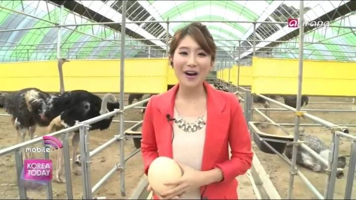 한국에서 인기없는 고기 | 인스티즈