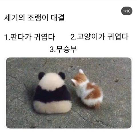 세기의 조랭이 대결 | 인스티즈