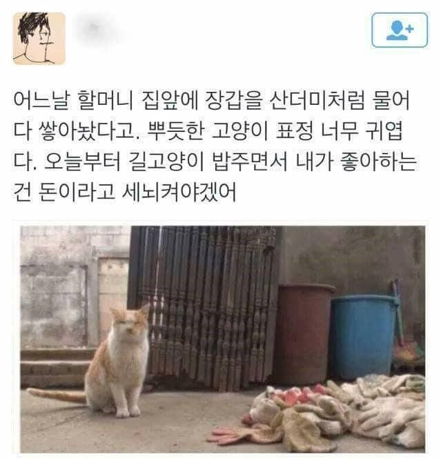 은혜 갚은 고양이.jpg | 인스티즈