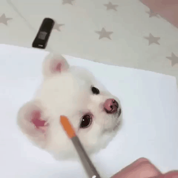 금손이그리는 댕댕이 | 인스티즈