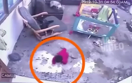 이래도 댕댕이 입니까? | 인스티즈