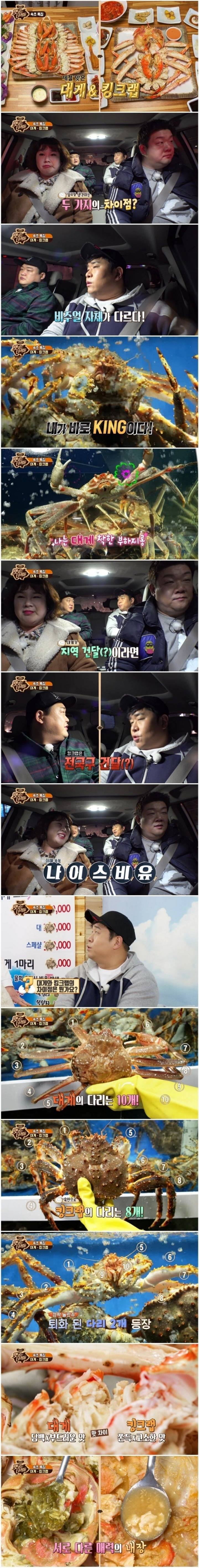 대게와 킹크랩의 차이 | 인스티즈