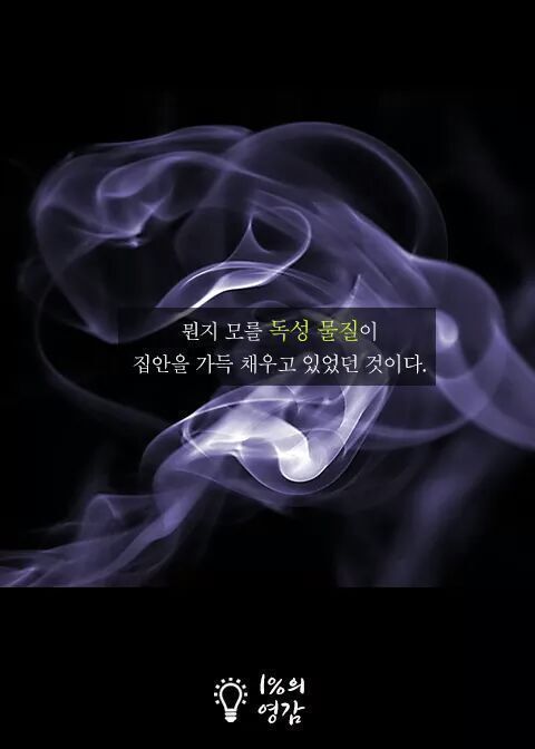 안내견이 짖은이유 | 인스티즈