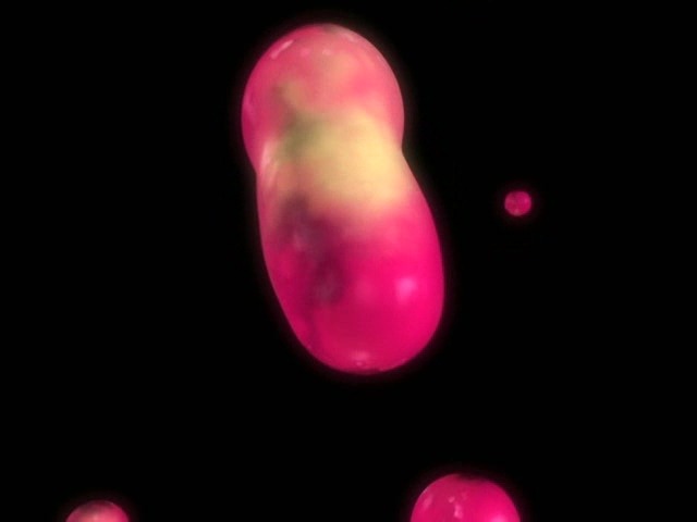 디지몬 테이머즈. 시리즈 중 가장 어둡다고해서 정주행 후 정리 | 인스티즈