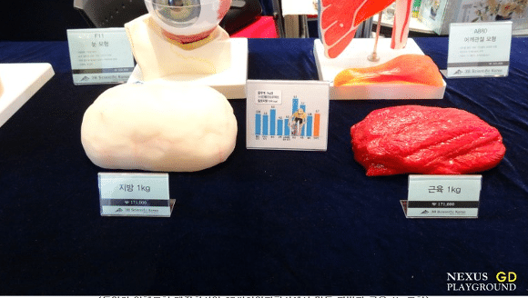 근육과 지방의 차이 | 인스티즈