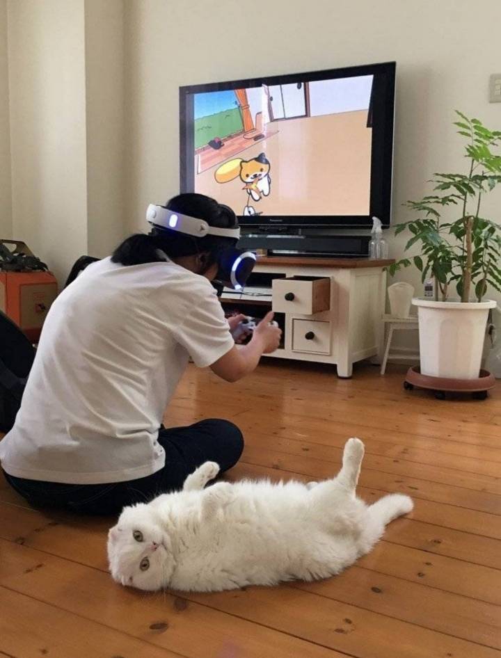 vr기술 발달에 의한 실직 | 인스티즈