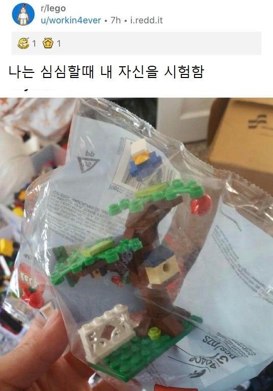 심심하다고 자신을 시험한 사람 | 인스티즈