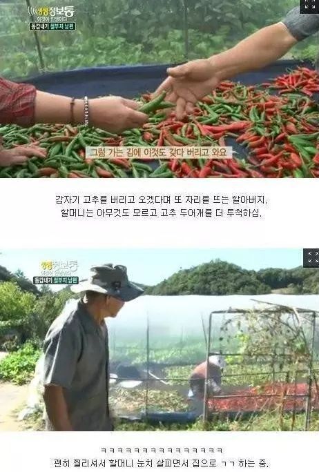 생생정보통 철부지할아버지 | 인스티즈