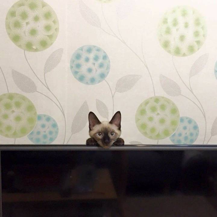 추석 특선 영화 2020 | 인스티즈