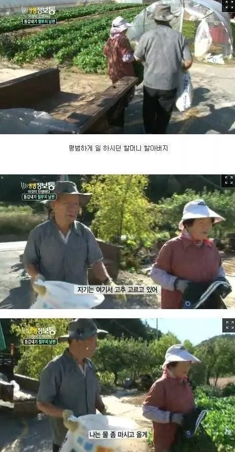 생생정보통 철부지할아버지 | 인스티즈