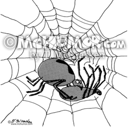 거미, 그들이 살아남는 생존전략들.jpg | 인스티즈