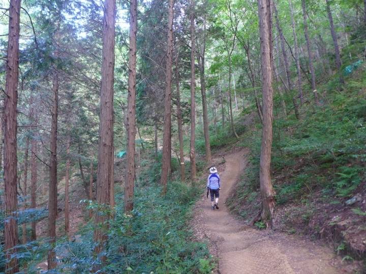 집 콕 세계여행 : 전라남도 여수 | 인스티즈