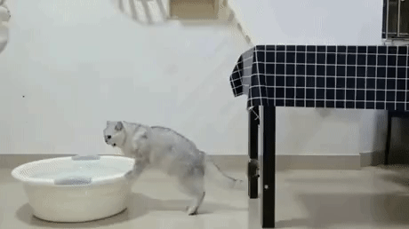 ?만 나오는 짤 | 인스티즈