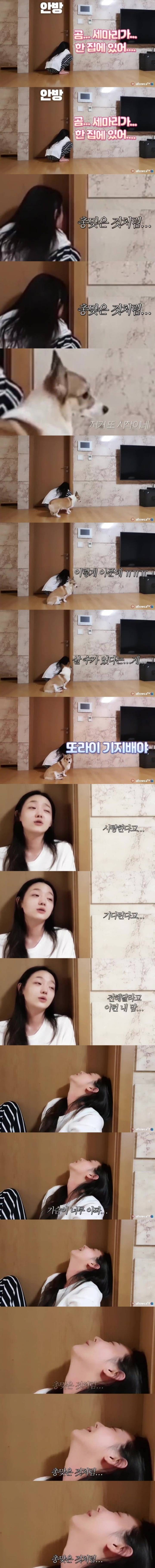 아부지 한테 주사 부리는 개딸 ㅋㅋㅋㅋㅋ.jpg | 인스티즈