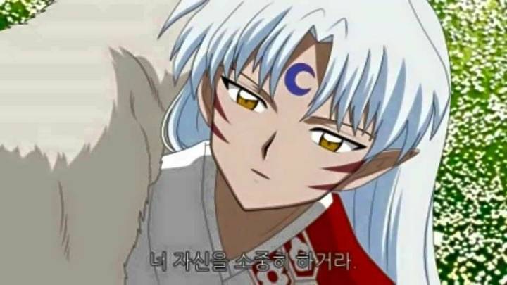 링에게 고백하는 셋쇼마루 | 인스티즈