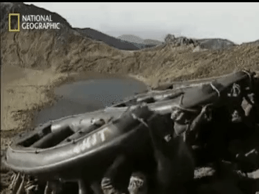 가짜사나이2에서 할 지 궁금한 훈련.gif | 인스티즈