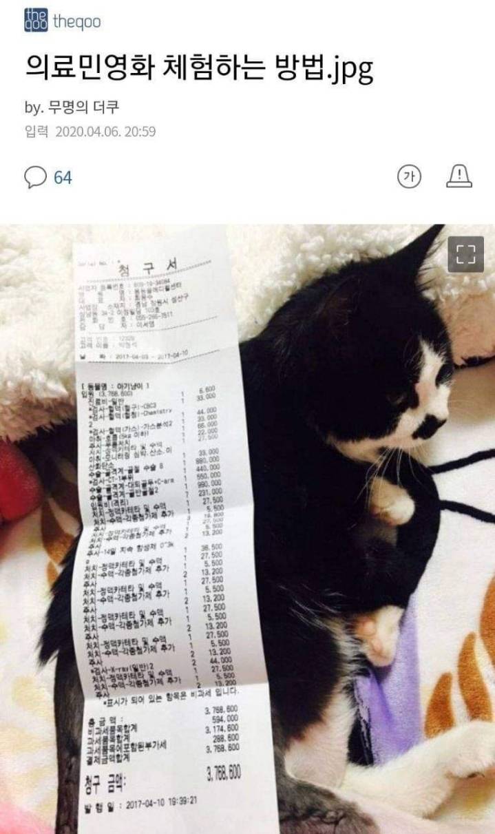 한국에서 의료민영화를 느낄수 있는곳.jpeg | 인스티즈