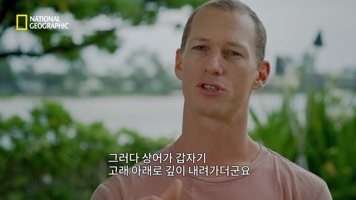 고래 먹방하던 상어들이 갑자기 사라진이유.jpggif | 인스티즈