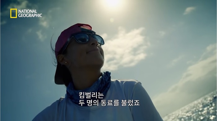고래 먹방하던 상어들이 갑자기 사라진이유.jpggif | 인스티즈