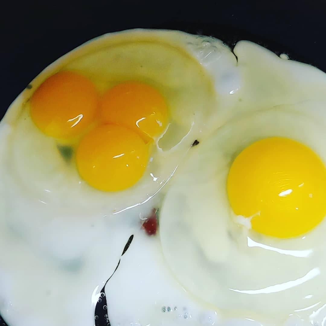 노른자가 살아있는 계란후라이......jpg | 인스티즈