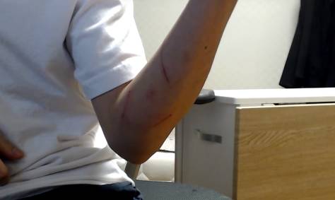 집사와 밀당하는 고양이 | 인스티즈