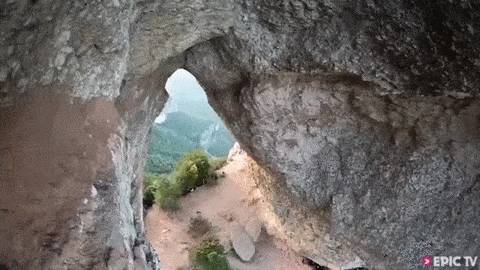 부상자가 없다는 스포츠.gif | 인스티즈