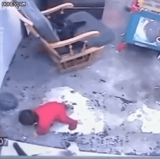 몸을 던져 아기를 살린 고양이.gif | 인스티즈