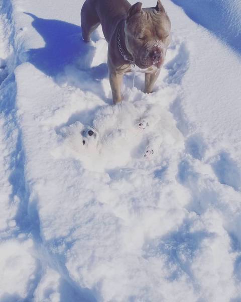 같이 놀던 친구가 사라짐 jpg | 인스티즈