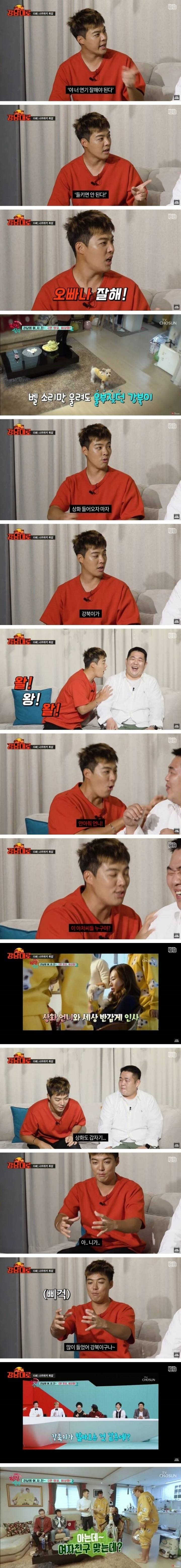 강아지 때문에 비밀연애 들킨 연예인 | 인스티즈