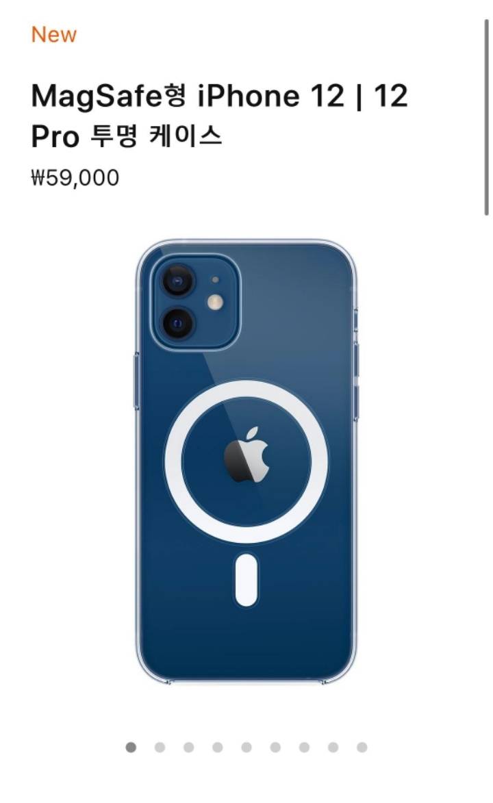 아이폰 발표와 같이 나온 정품 케이스.JPG | 인스티즈