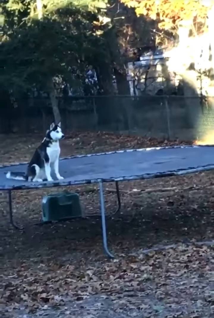 ??? : 주인쉑 이 재밌는걸 안알려주다니 | 인스티즈