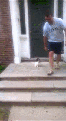 계단이 무서운 뭉이... | 인스티즈