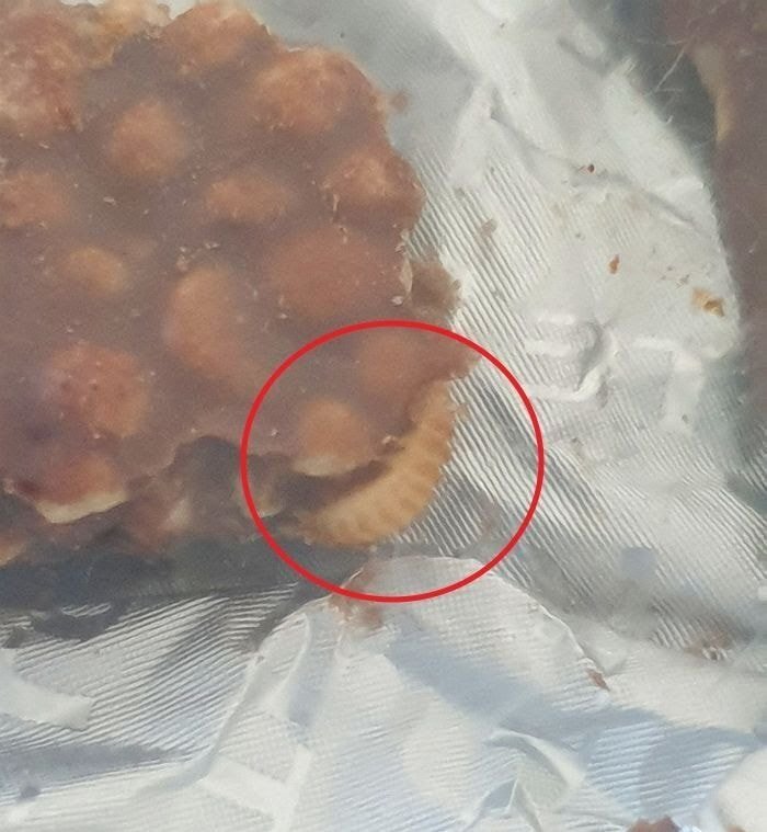 크런키 먹다가 애벌레 나온 사람 근황.jpg (혐오주의) | 인스티즈