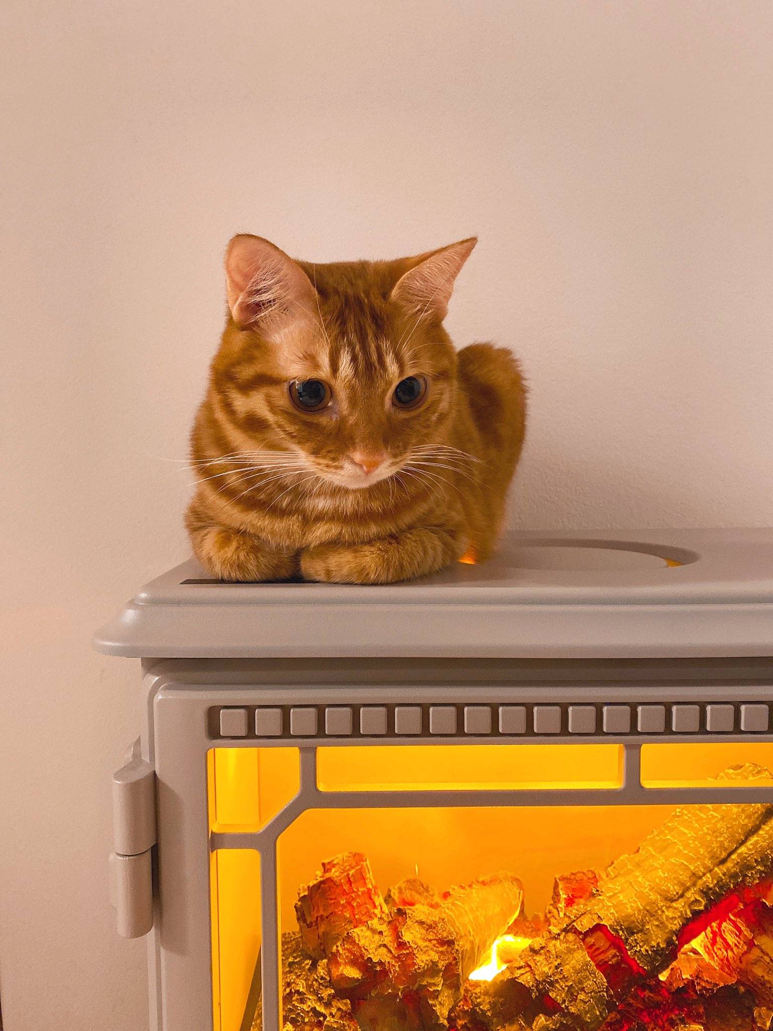 코스트코에서 파는 전기 벽난로 | 인스티즈