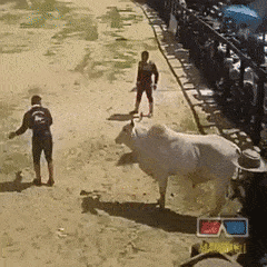 보스 패턴 마스터한 고인물.gif | 인스티즈