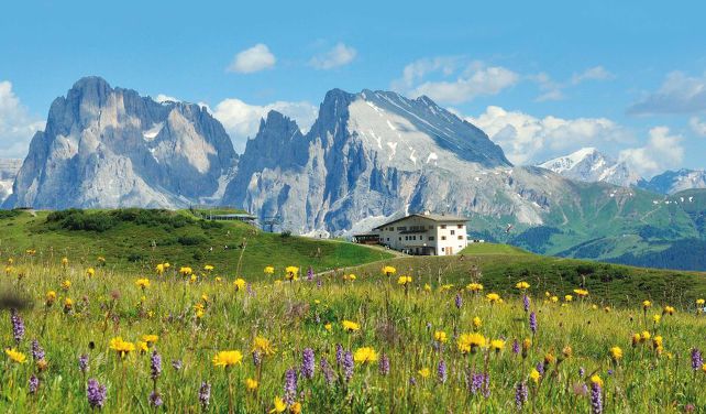 이탈리아의 알페 디 시우시라는 산 | 인스티즈