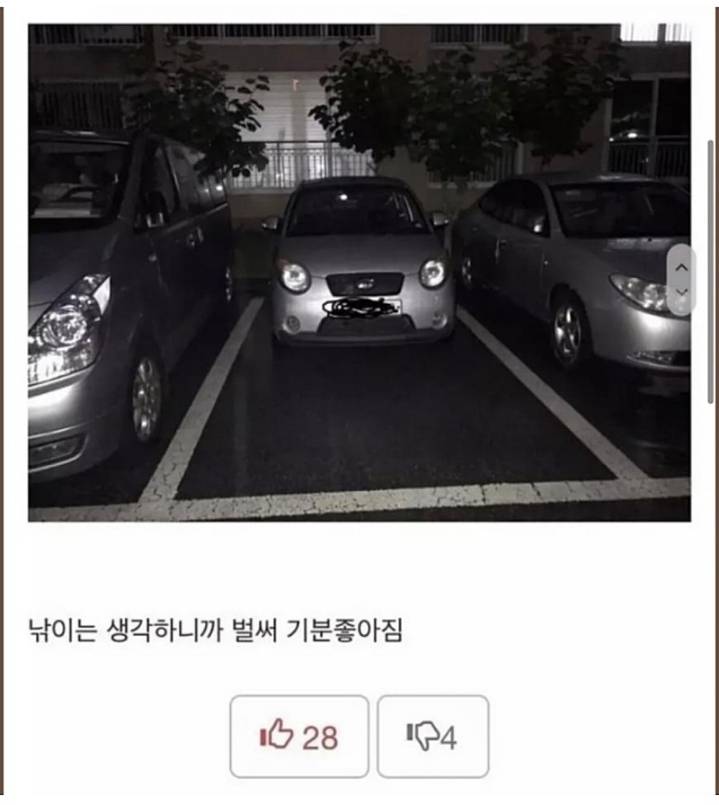 K-주차 레전드 모음.JPG | 인스티즈