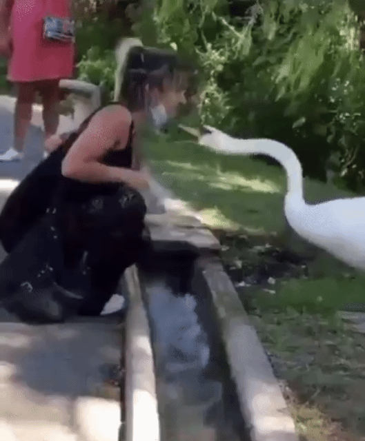 턱스크 교육하는 타조 | 인스티즈