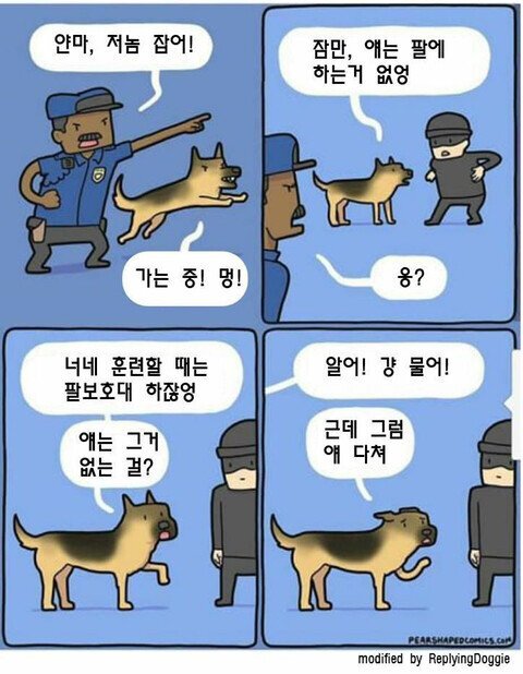 경찰견들이 실제로 자주 하는 행동 | 인스티즈